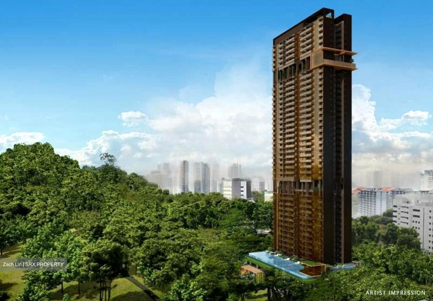 The Landmark (D3), Condominium #462756191